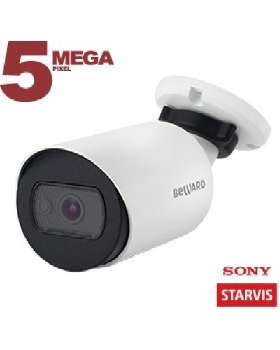 SV3212RC (3.6мм). Видеокамера IP цилиндрическая. Beward в Екатеринбурге