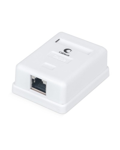 WS-8P8C-Cat.5e-SH-1 (7485c): Розетка RJ-45 в Екатеринбурге