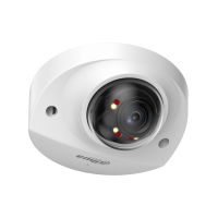DH-IPC-HDBW2249FP-AS-IL-0360B. Профессиональная видеокамера IP купольная. Dahua