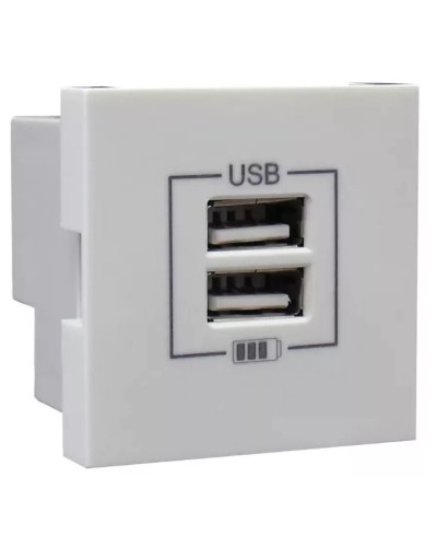 Розетка USB двойная, зарядная, белая (45439 SBR): Розетка USB двойная в Екатеринбурге