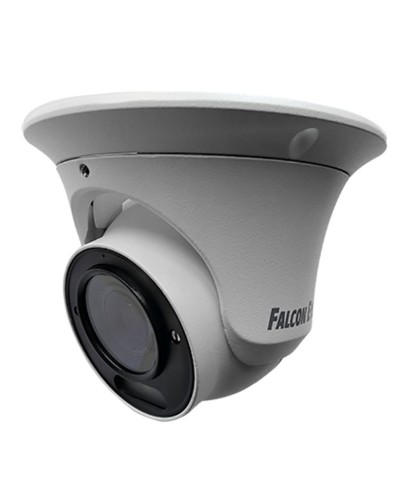 FE-IPC-DV2-40pa. Видеокамера IP купольная. Falcon EYE в Екатеринбурге