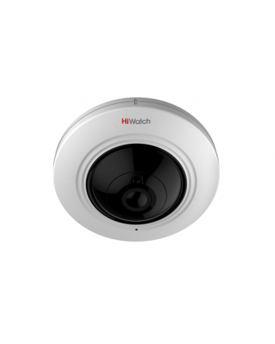 DS-I351. Бюджетная IP-видеокамера купольная. HiWatch в Екатеринбурге