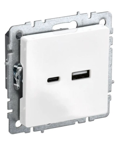 Розетка USB A+C 18Вт РЮ11-1-БрБ белый BRITE (BR-U22-018-K01). Розетка USB. IEK в Екатеринбурге