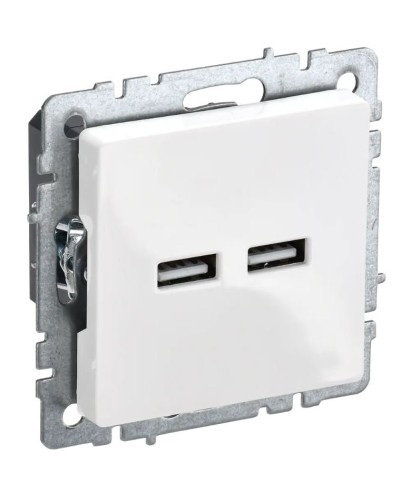 Розетка USB A+A 3,1А РЮ10-1-БрБ белый BRITE (BR-U21-D31-K01). Розетка USB. IEK в Екатеринбурге