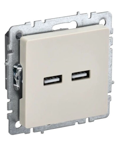 Розетка USB A+A 3,1А РЮ10-1-БрКр бежевый BRITE (BR-U21-D31-K10). Розетка USB. IEK в Екатеринбурге
