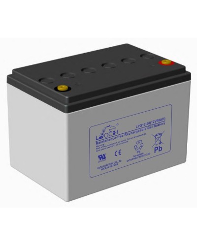 LEOCH LPG 12-60. Аккумулятор герметичный свинцово-кислотный. LEOCH в Екатеринбурге