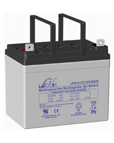 LEOCH LPG 12-31. Аккумулятор герметичный свинцово-кислотный. LEOCH в Екатеринбурге