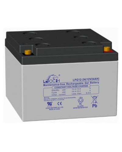 LEOCH LPG 12-24. Аккумулятор герметичный свинцово-кислотный. LEOCH в Екатеринбурге