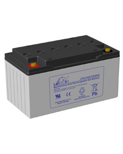 LEOCH LPG 12-65. Аккумулятор герметичный свинцово-кислотный. LEOCH в Екатеринбурге