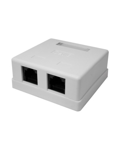 Розетка настенная RJ-45, 8P8C, Cat.6, 2 порта UTP (10-0310): Компьютерная розетка в Екатеринбурге