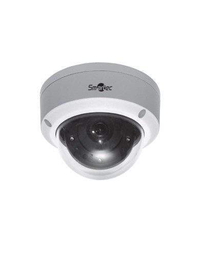 STC-IPMA5520A/1. Видеокамера IP купольная. Smartec в Екатеринбурге