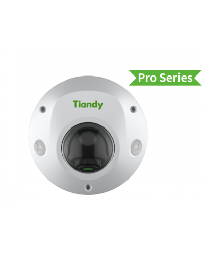 TC-C35PS I3/E/Y/M/H/2.8/V4.2. Видеокамера IP купольная. Tiandy в Екатеринбурге