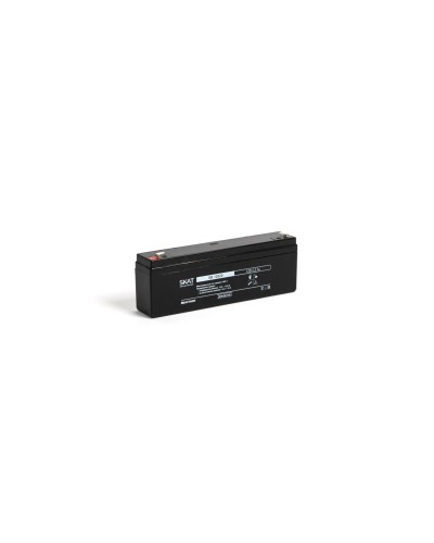 SKAT SB 12022 (2539). Аккумулятор герметичный свинцово-кислотный. Бастион в Екатеринбурге