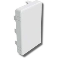 Заглушка 200х60 LAN (00881): Заглушка для короба